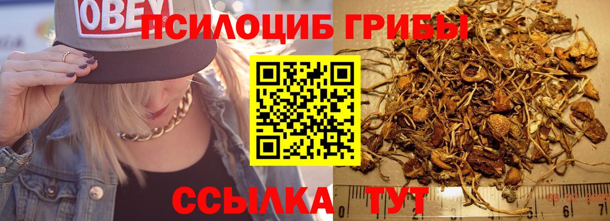 Псилоцибиновые грибы GOLDEN TEACHER Новоалтайск